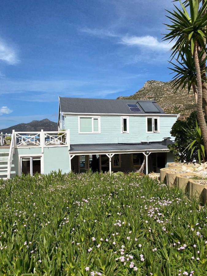 Villa Amanzi 豪特湾 外观 照片